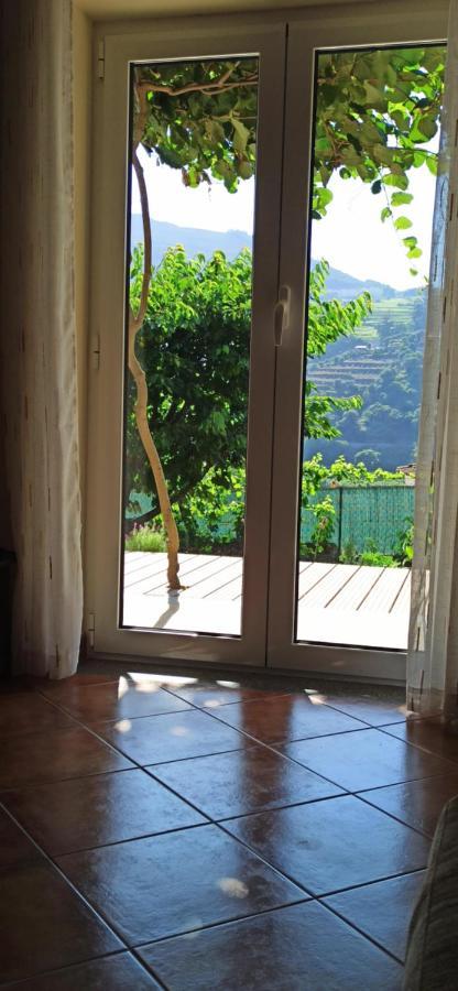 Vineyards Valley House Penajoia Exterior photo