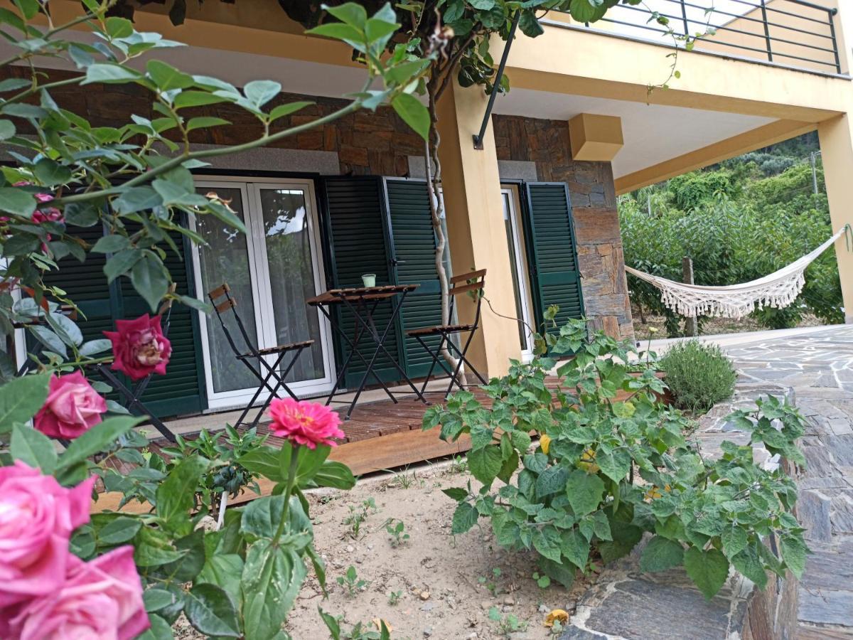 Vineyards Valley House Penajoia Exterior photo